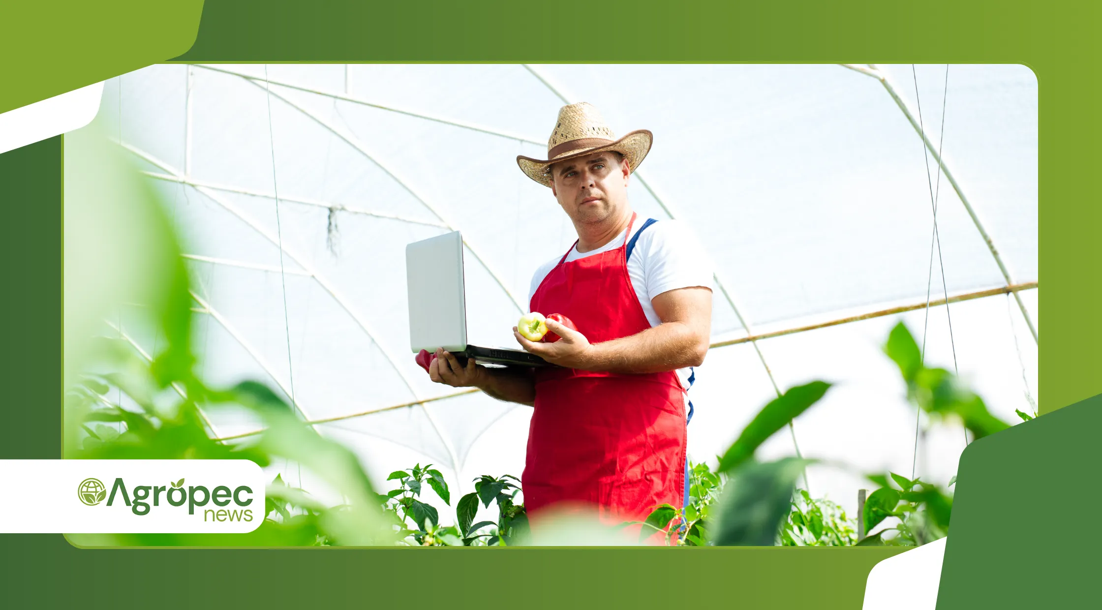 Conectividade e tecnologias digitais nas propriedades orgânicas