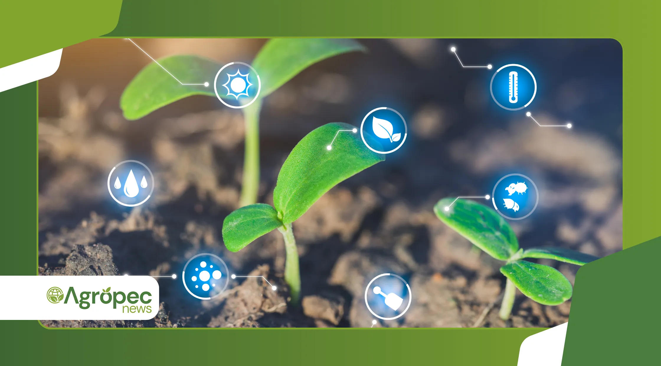 Conectividade e tecnologias digitais nas propriedades orgânicas