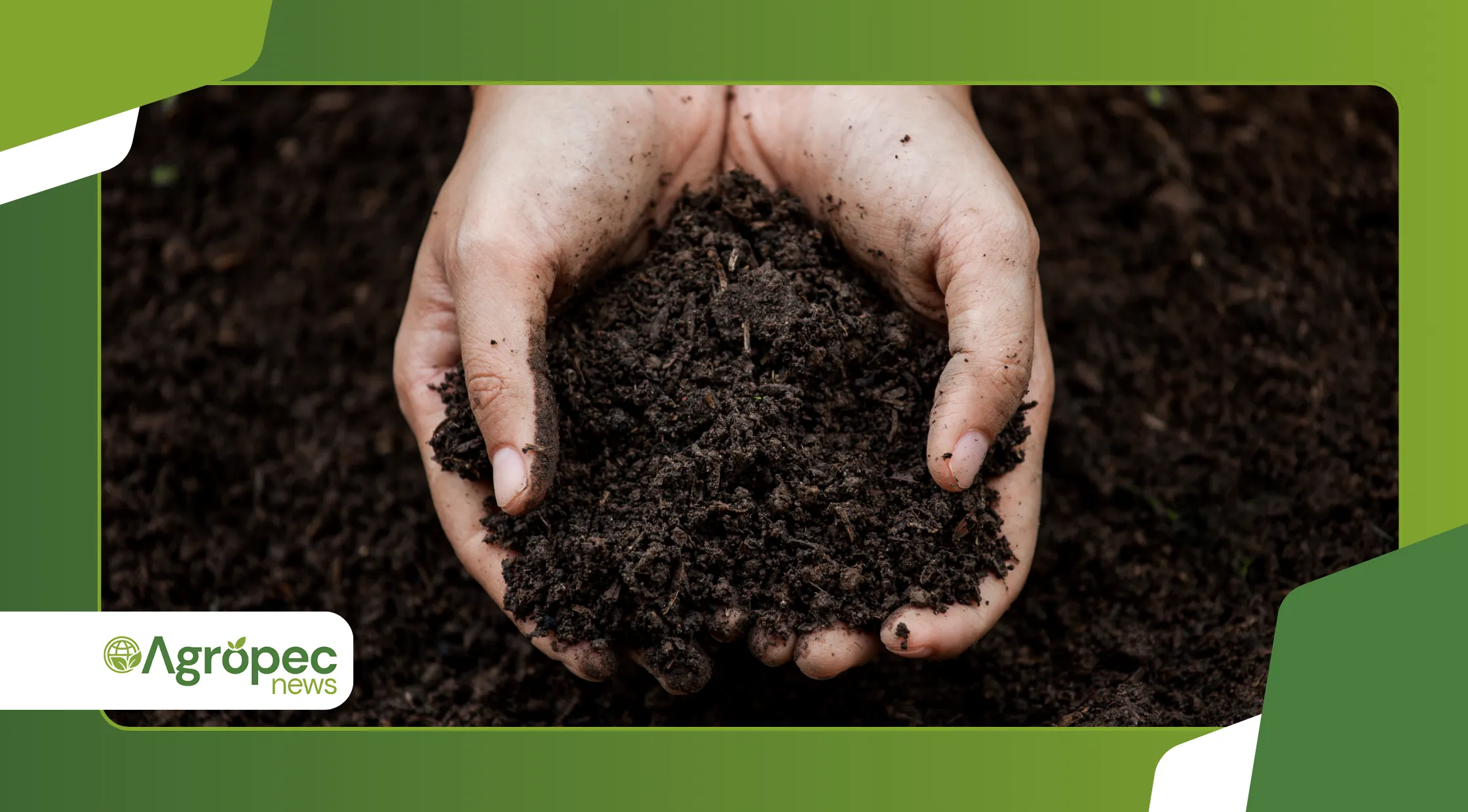 Biochar de bagaço de cana