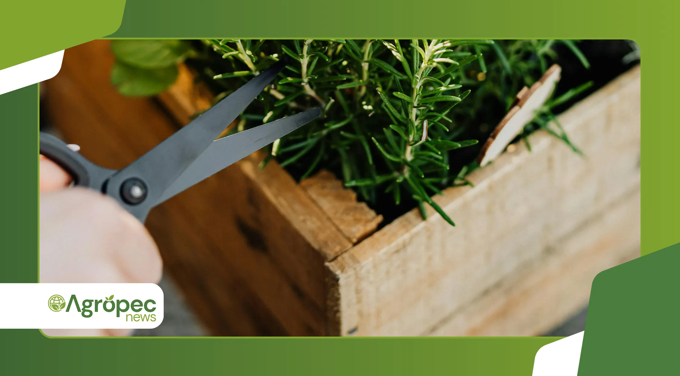 modelos criativos com pallets e canos de PVC