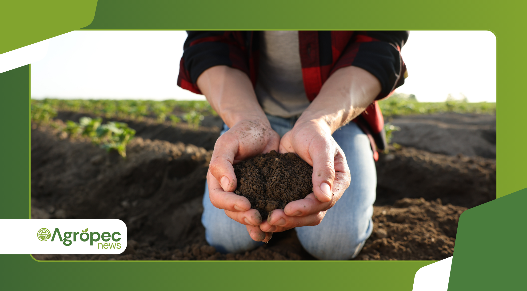 Qualidade microbiológica do solo