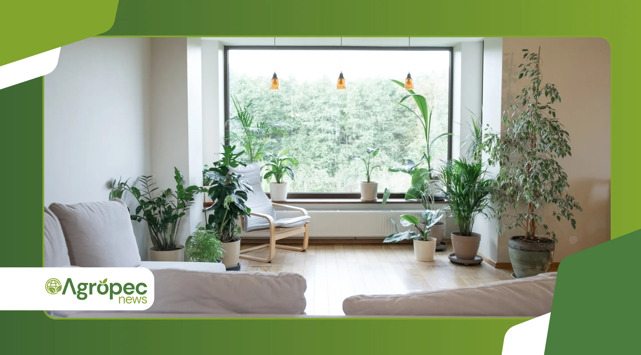 Cultivares Tropicais