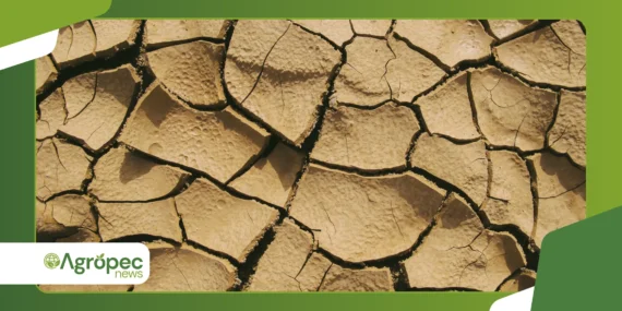 Como Interpretar Análises de Solo na Agricultura Orgânica