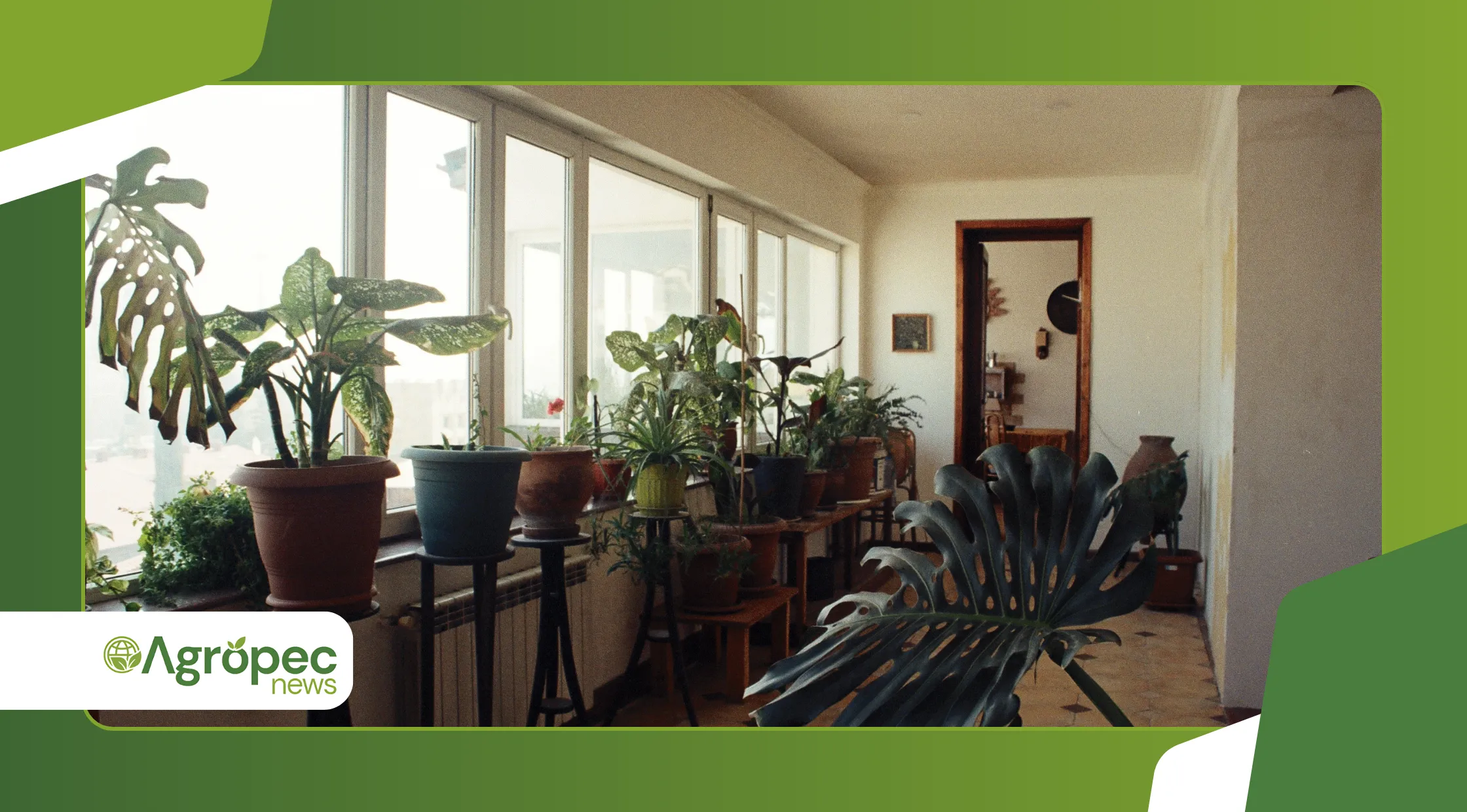 Microclimas Domésticos