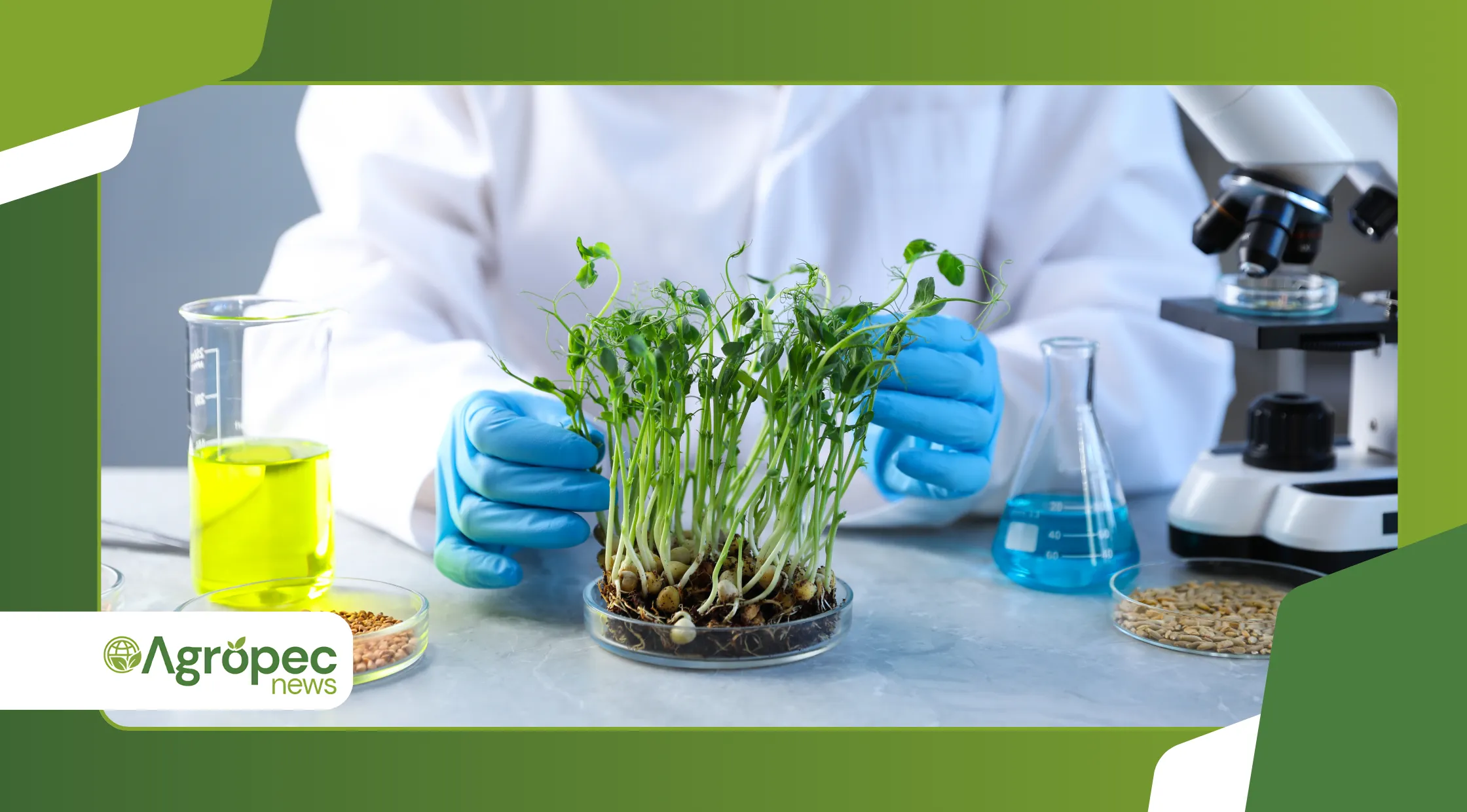 Biofertilizantes líquidos