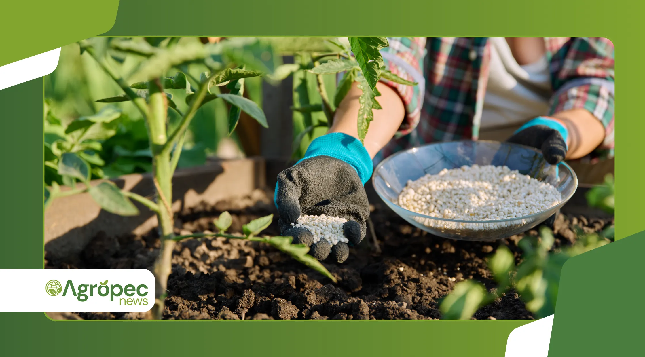 Otimização da adubação fosfatada