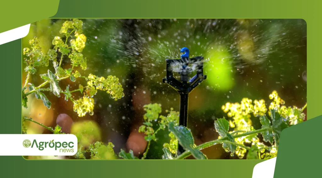 Sistemas de Irrigação Automatizados