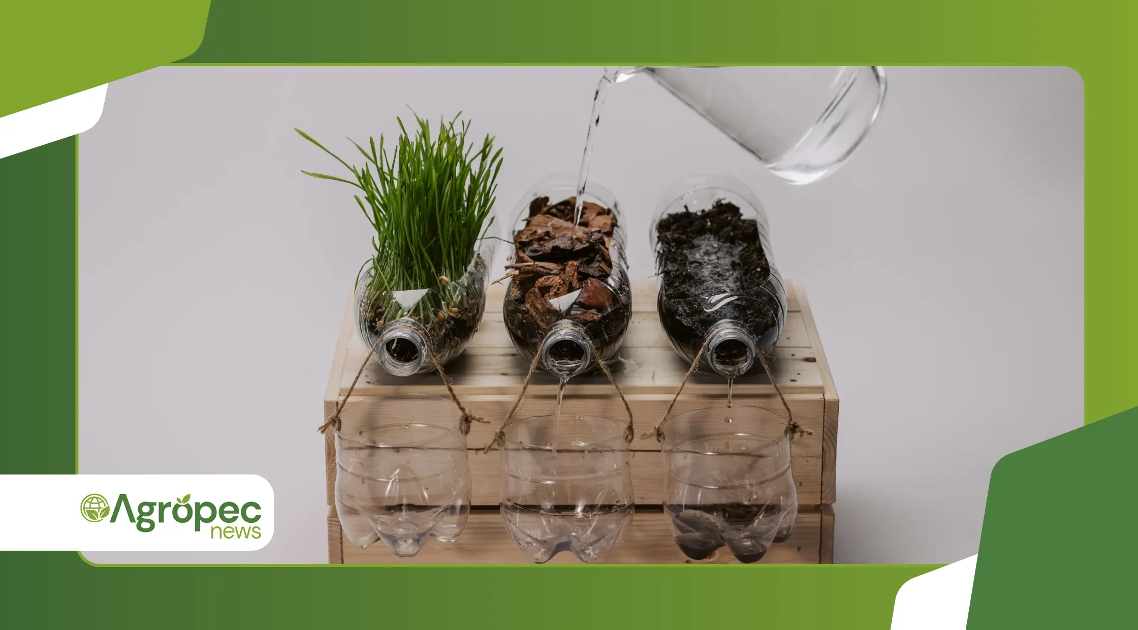 Horta em casa com vasos reciclados