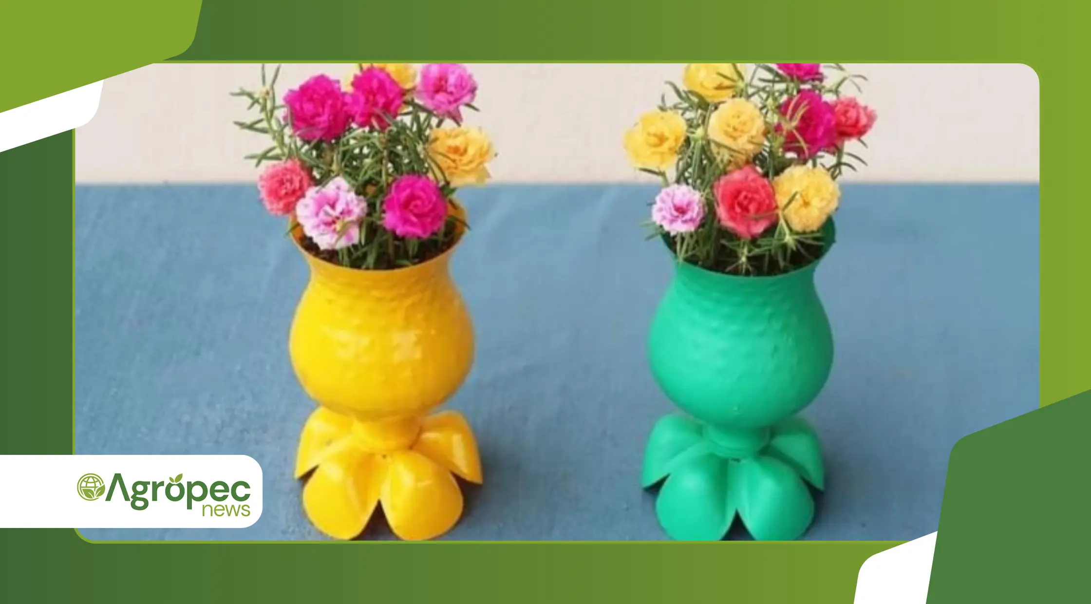 Horta em casa com vasos reciclados