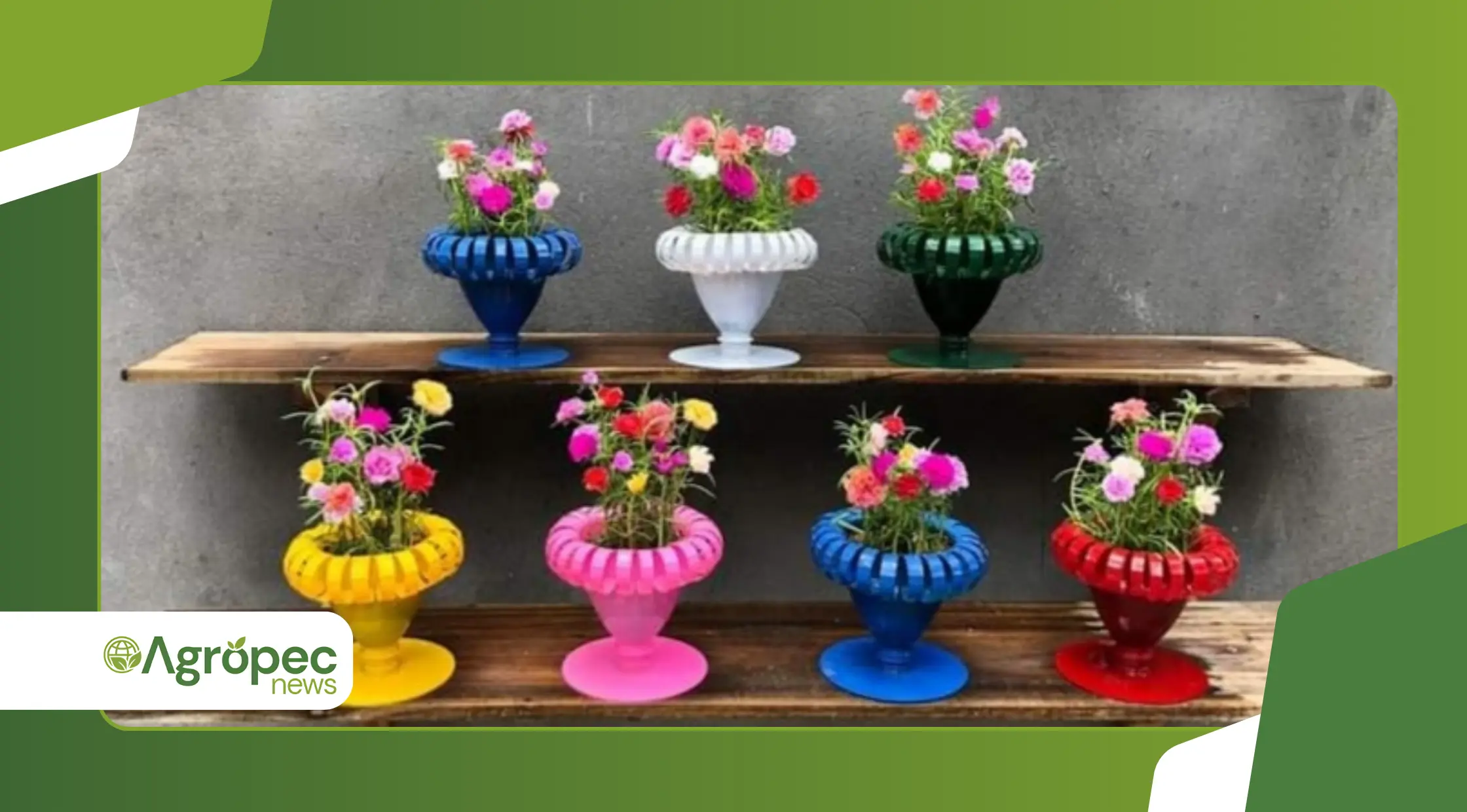 Horta em casa com vasos reciclados