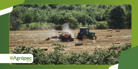 Agricultura periurbana comercial: produção perto das cidades