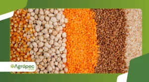 Logística de grãos no Brasil