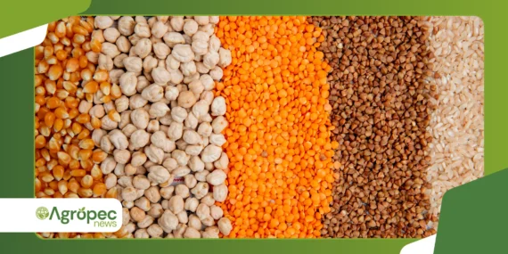 Logística de grãos no Brasil: gargalos e soluções em 2026