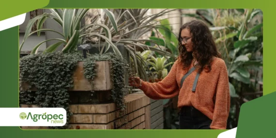 Plantas gigantes na decoração 2026: tendência volta com força