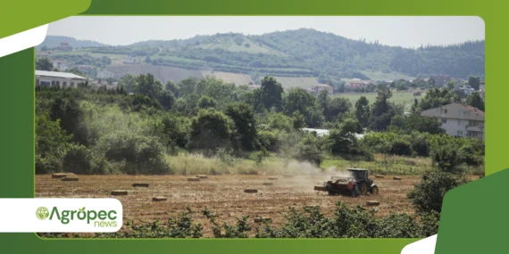 Produção orgânica periurbana: tendência da agricultura urbana