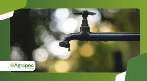 Rega por gotejamento caseiro