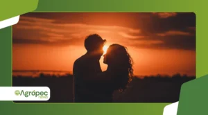 Como encontrar alguém que combina com você (perto de você)