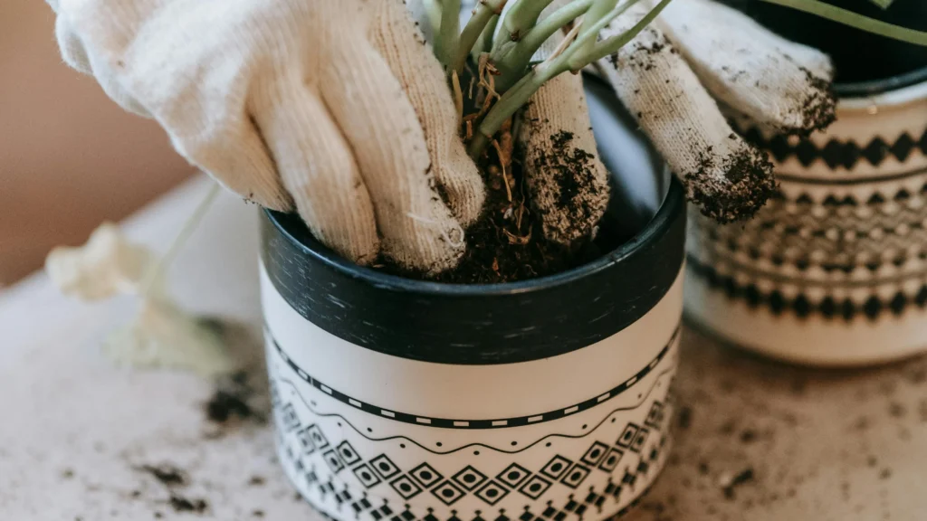 Pó de rocha na agricultura