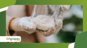 Pó de rocha na agricultura: alternativa a fertilizantes caros