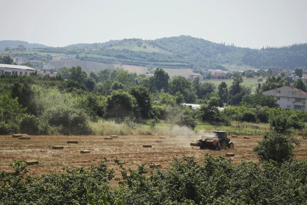 Produção orgânica periurbana