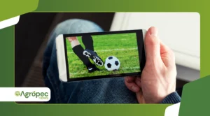 Aplicativos para assistir futebol ao vivo no celular sem complicação