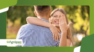 Apps Para Quem Busca um Relacionamento de Verdade
