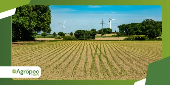 Clima El Niño no agro: impactos práticos na produtividade