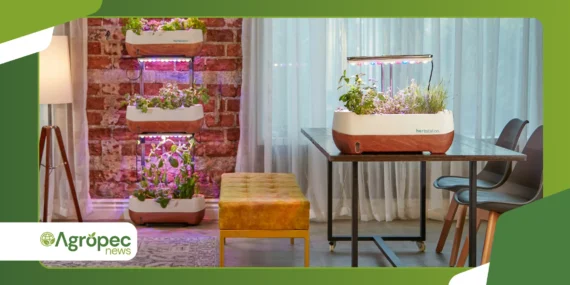 Horta indoor automatizada: sensores baratos para cultivo