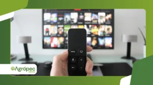 TV FREE