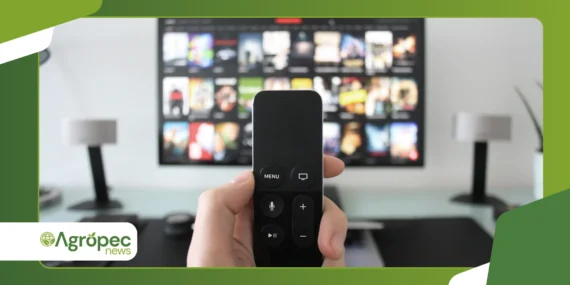 Assista TV Ao Vivo e de Graça: 7 Apps Oficiais para Celular
