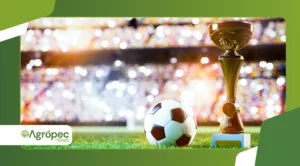 Champions League e Premier League