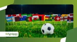 Apps para assistir a copa do mundo