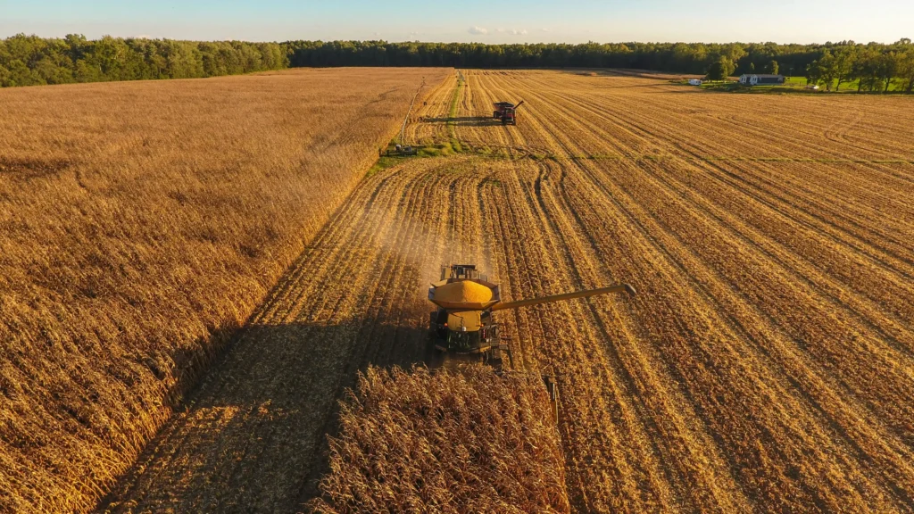 Plano Safra 2026/27 indefinido: juros altos travam crédito rural