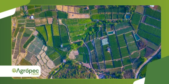 Agricultura orientada por dados: decisões mais lucrativas