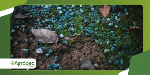 Como o bokashi agrícola acelera a recuperação do solo