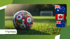 Aplicativos para acompanhar a copa