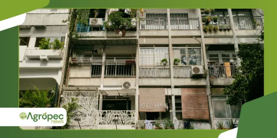 Como criar uma horta produtiva em apartamentos cada vez menores