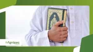 Aplicativos para ouvir o Alcorão