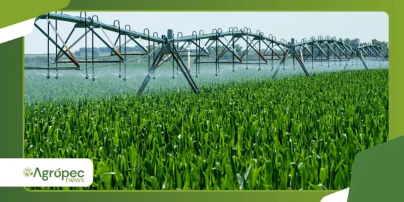 Entenda a diferença entre agricultura intensiva e extensiva