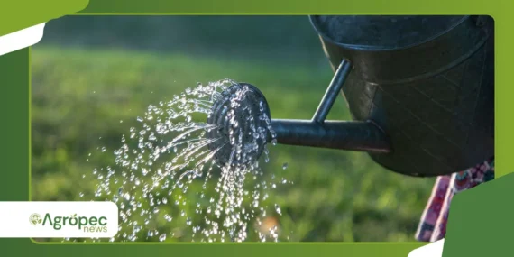 Como melhorar a infiltração de água em áreas agrícolas