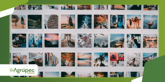 Como Recuperar Fotos Apagadas do Celular: Métodos Simples que Realmente Funcionam