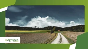 Risco climático rural cresce nas principais regiões agrícolas