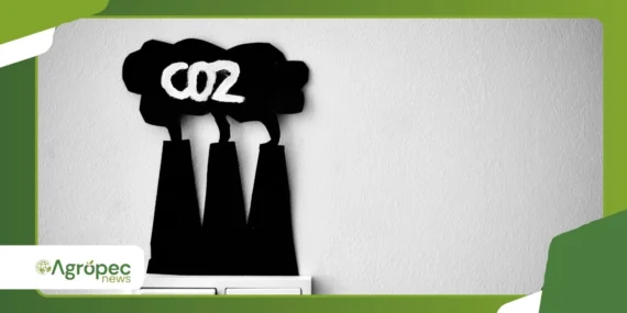 Agricultura orgânica e sequestro de carbono: qual a relação prática?