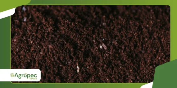 Taxa variável de fertilizantes reduz desperdícios no campo