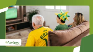 Como Assistir TV Grátis no Brasil