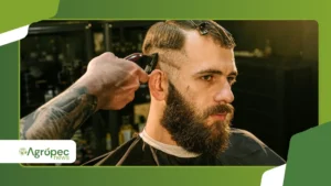 Curso de Barbeiro Online Com Certificado