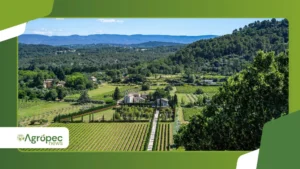 A importância do fluxo de caixa para propriedades agrícolas