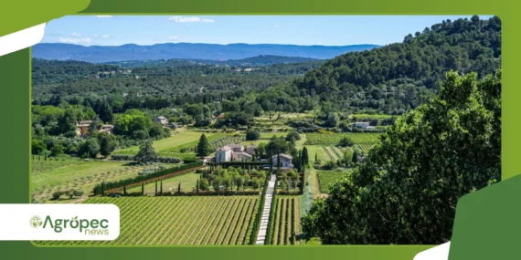 A importância do fluxo de caixa para propriedades agrícolas