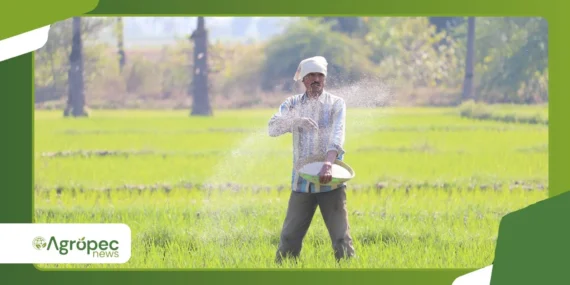 Como os fertilizantes organominerais conquistam espaço no agro