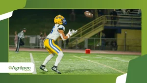 Como Assistir aos Jogos da NFL pelo Celular
